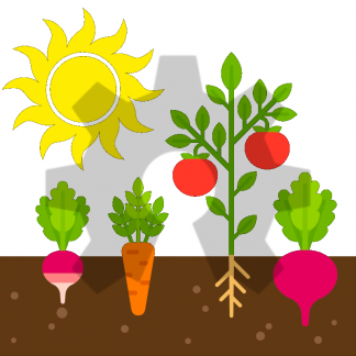 Maker Garden