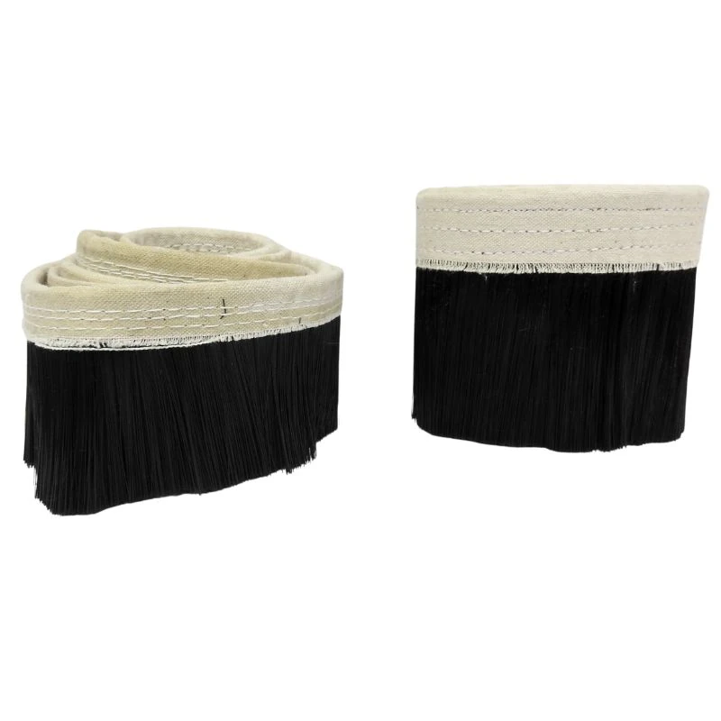 Dust Shoe Bristles